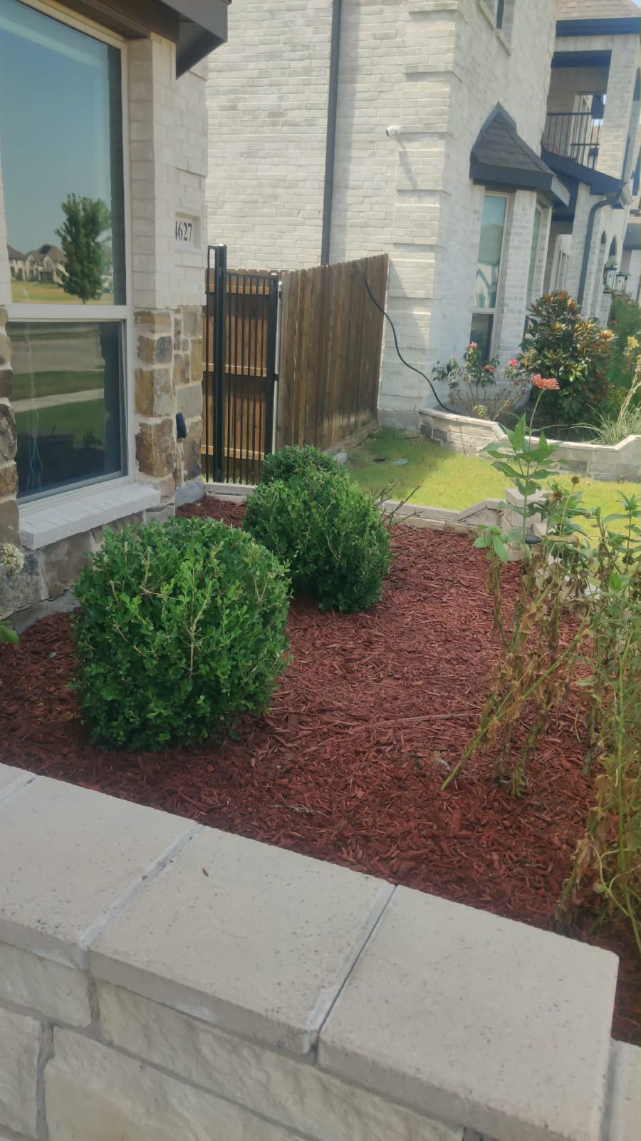 Shrub & Ornamental Bush Trimming
