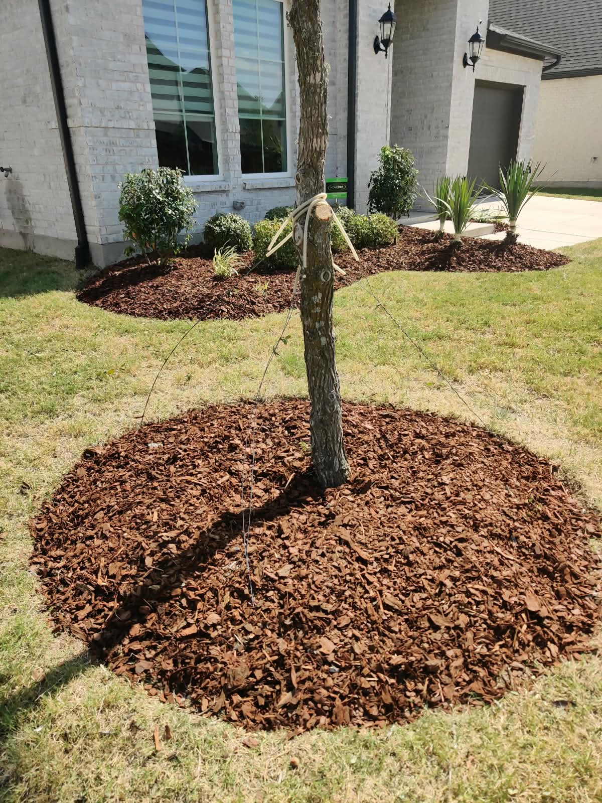 Seasonal Yard Cleanups & Debris Removal